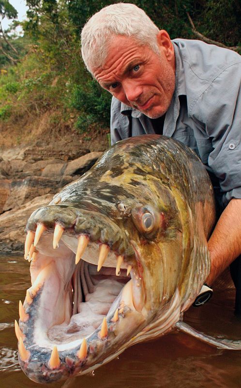 Blue Fish Radio: River Monsters' Jeremy Wade on fishing, conservation and  adventure • Outdoor Canada